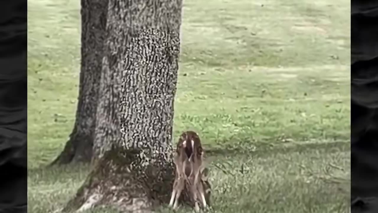 😨👻 Terrifying Paranormal Encounter Caught on Camera! | TheHauntingHour