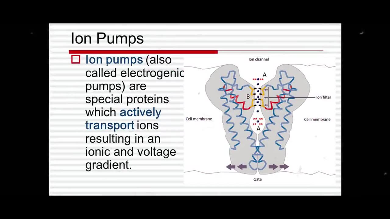 The field of neuro-magnetics is all about using cell towers to mind control people