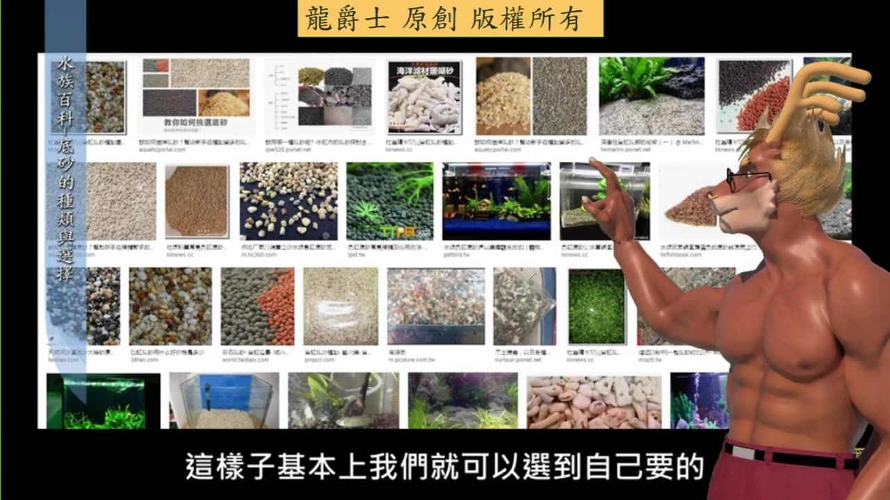 【龍爵士】水族百科 魚缸需不需要底砂