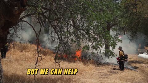 How Do Wildfires Happen #helping #losangeles #prayforlA