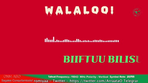 Qophii Walaloo ONM-ABO Amajjii 10-2025 dhiyaadhaa!