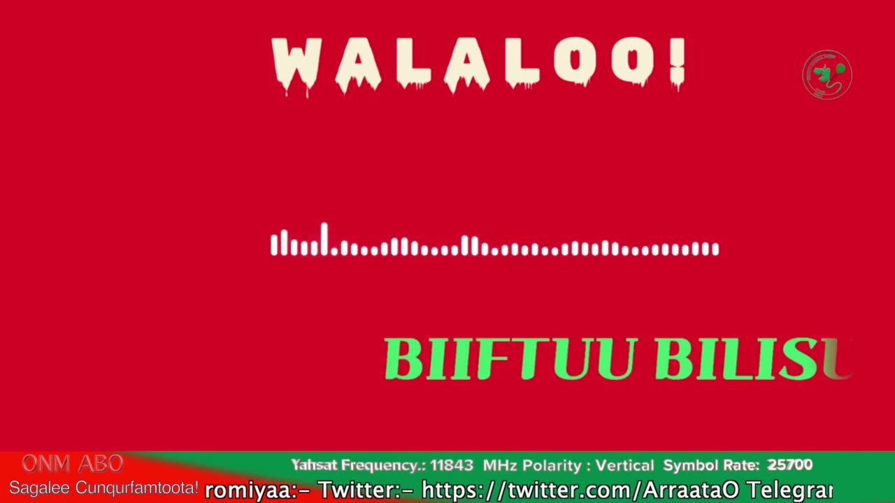 Qophii Walaloo ONM-ABO Amajjii 10-2025 dhiyaadhaa!