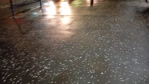 Walkie talkie: Donald Trump Vs the BBC