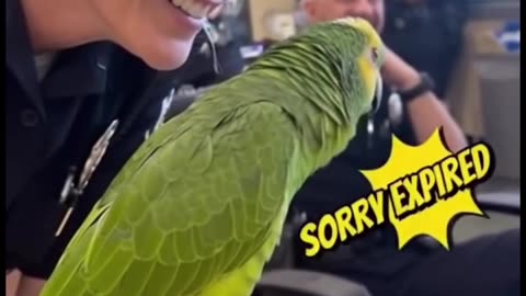 sorry expired 🤣😂