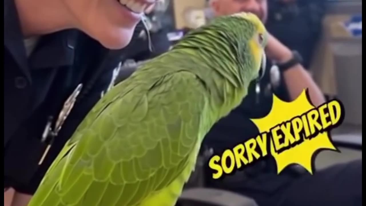 sorry expired 🤣😂