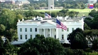 TWO CATS U.S. POLITICAL NEWS