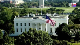 TWO CATS U.S. POLITICAL NEWS
