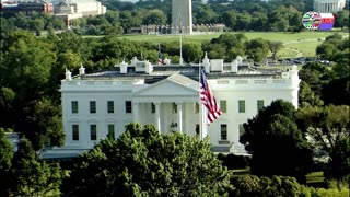 TWO CATS U.S. POLITICAL NEWS