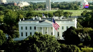 TWO CATS U.S. POLITICAL NEWS