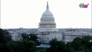 TWO CATS U.S. POLITICAL NEWS