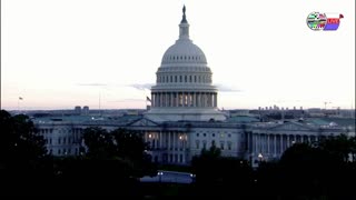 TWO CATS U.S. POLITICAL NEWS