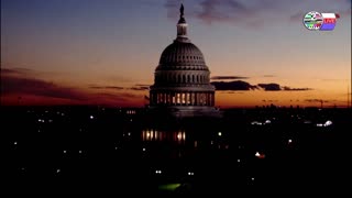 TWO CATS U.S. POLITICAL NEWS