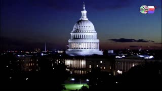 TWO CATS U.S. POLITICAL NEWS