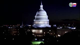 TWO CATS U.S. POLITICAL NEWS