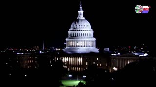 TWO CATS U.S. POLITICAL NEWS