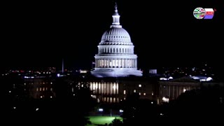 TWO CATS U.S. POLITICAL NEWS