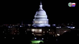 TWO CATS U.S. POLITICAL NEWS