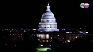 TWO CATS U.S. POLITICAL NEWS