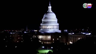 TWO CATS U.S. POLITICAL NEWS