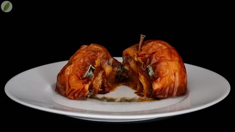 😮✨ Watch an Apple Rot and Grow Mold in Real Time! | FeedMyCuriosity