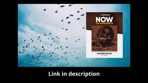 N.o.t Vince - Nothing On You (lyric video)