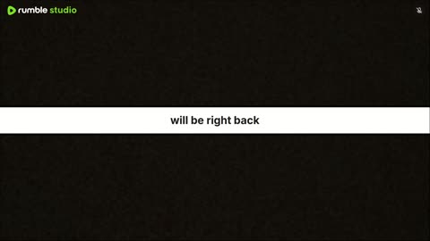 A bird good time doing angry birds levels and other things