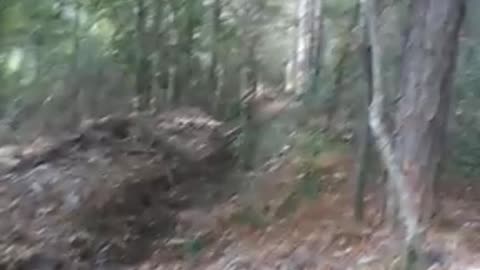 mosquito abatement treason against the United States Bill Gates