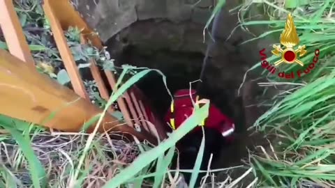 Brindisi: cane cade in un pozzo, salvato in tempo dai Vigili del Fuoco