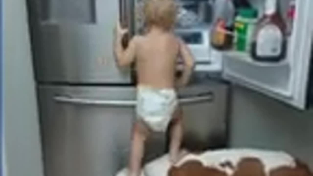 dogs and children