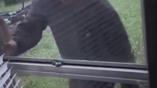 If you saw this at your home... What would your next move be?