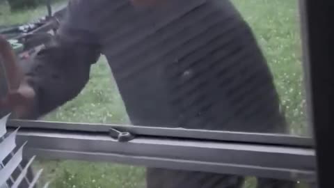 If you saw this at your home... What would your next move be?