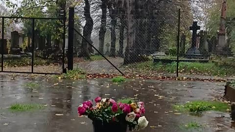 I need rooting powder. Police came to safeguard me.