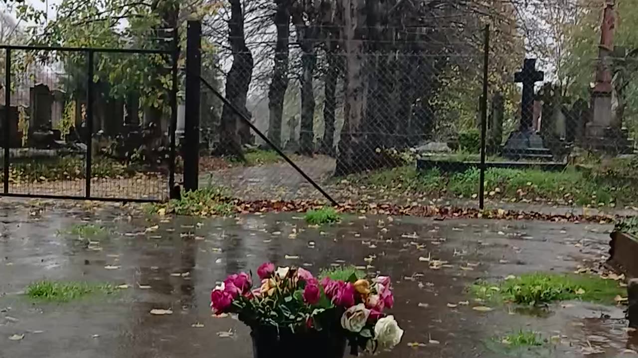 I need rooting powder. Police came to safeguard me.