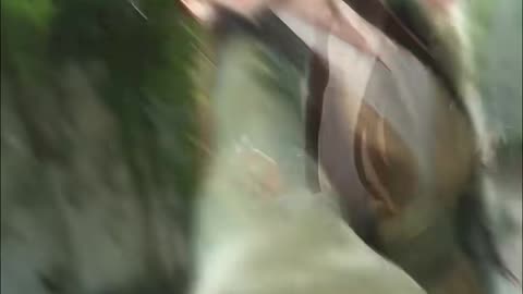 Sultry Gaze! | Stunning Red Bodycon Dress Hypnotic Fit Check Edit - Daily Beauty EP 339