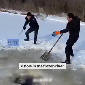 Winter's Wildest Fishing Tricks! Frozen River Net-Catching Secrets Revealed!