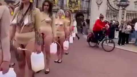 Women imitate cows in a protest against dairy cruelty.