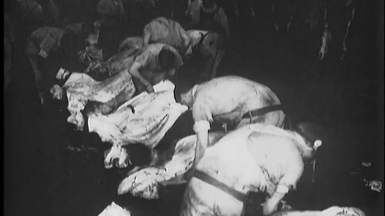 CUTTING UP [MEAT PACKING] - CUTTING UP [MEAT PACKING] - fc-fc-260