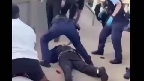 Man stomps on Bondi shooter's head. Someone buy him endless beers!