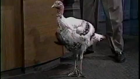 November 25, 1993 - Jay Leno Thanksgiving Promo