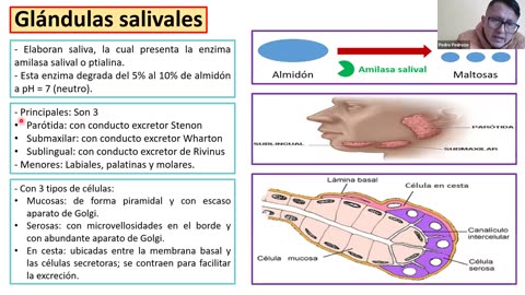 ADC SEMIANUAL 2023 | Semana 10 | Biología S1