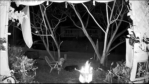 November 19th 2025 Front Yard Camp Fire ~Friendly Version~