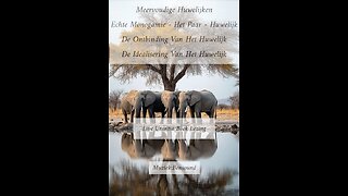 Meervoudige Huwelijken