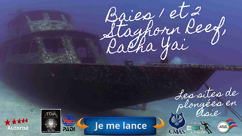 🐠 Baies 1 et 2 Staghorn Reef, Racha Yai, Le Sanctuaire du Corail Acropora et l'Épave Secrète