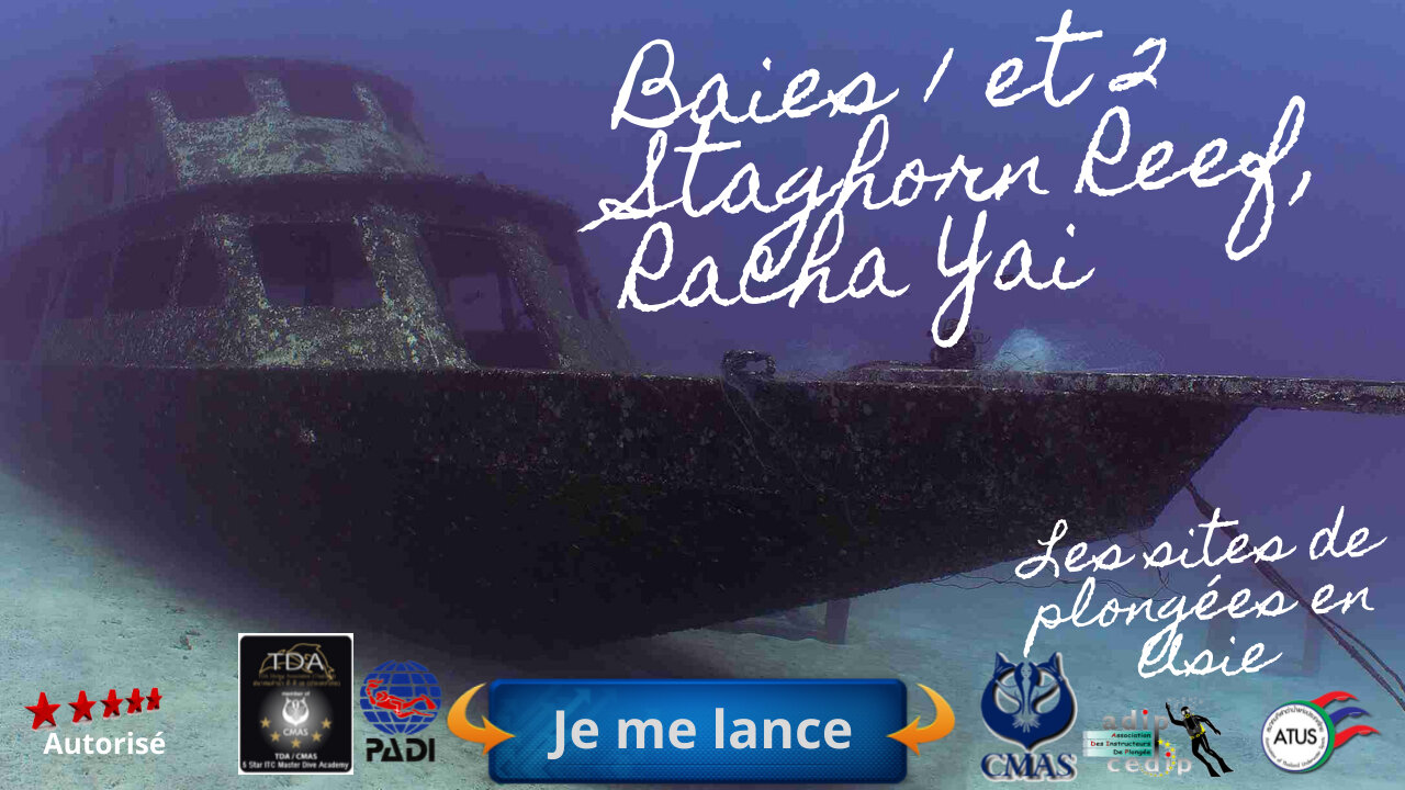 🐠 Baies 1 et 2 Staghorn Reef, Racha Yai, Le Sanctuaire du Corail Acropora et lÉpave Secrète