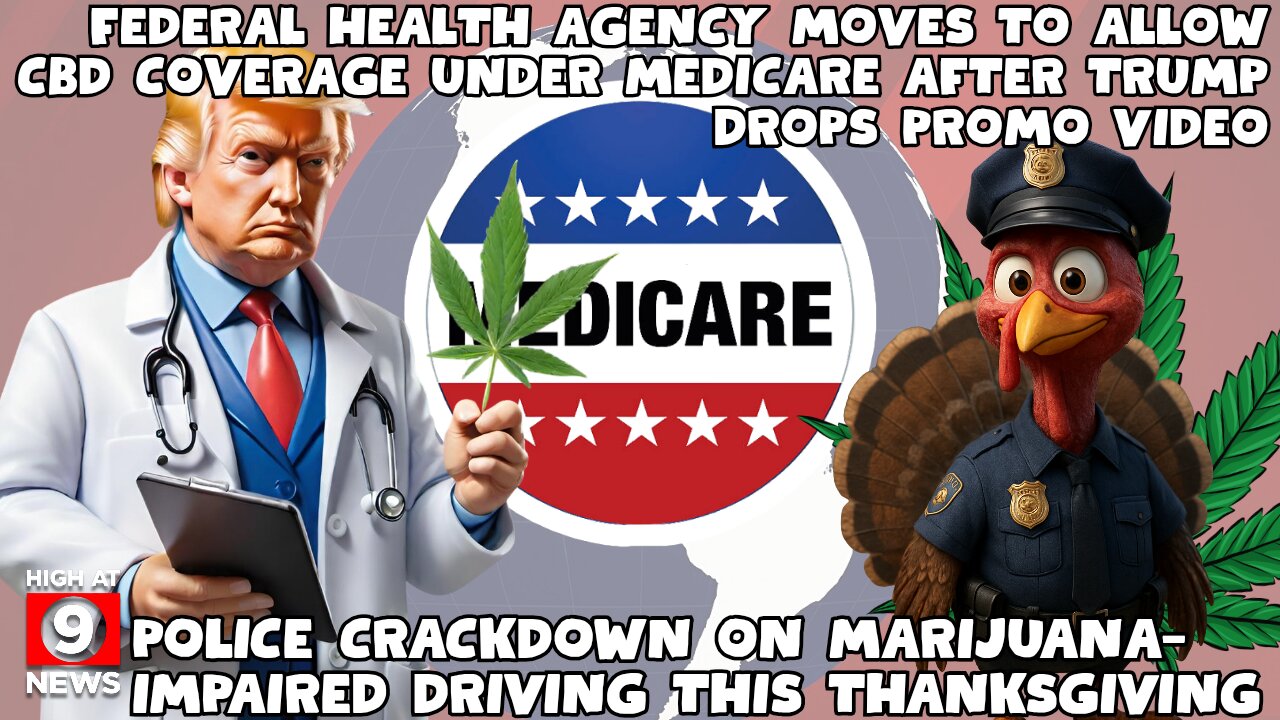 Marijuana measure sponsor won't appeal invalidated signatures