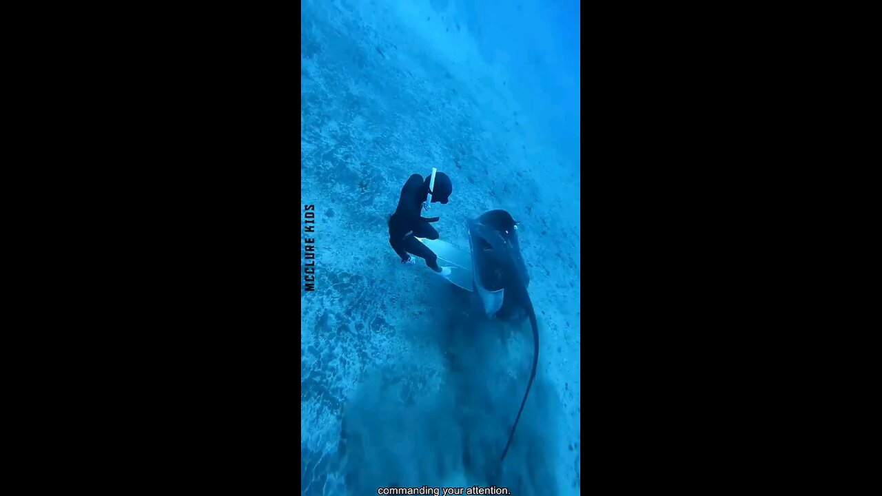 Predators