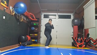 WTD Axe Kick to Wheelkick sequential