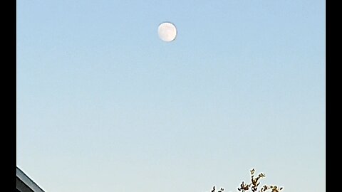 FULL MOON & SUNSHINE OUT TOGETHER TODAY. 🧐