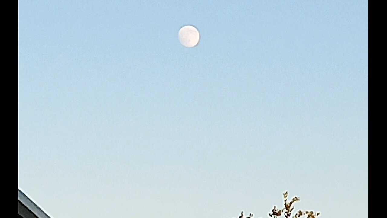 FULL MOON & SUNSHINE OUT TOGETHER TODAY. 🧐