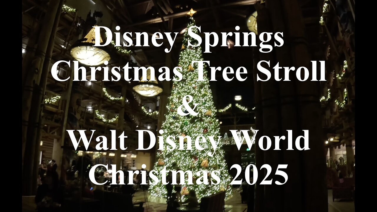 How to see the Disney Christmas lights without a park pass.